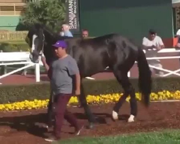 Video of Dark Vader xx