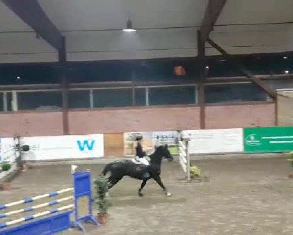 Reitturnier Hamburg-Friedrichshulde 2018
