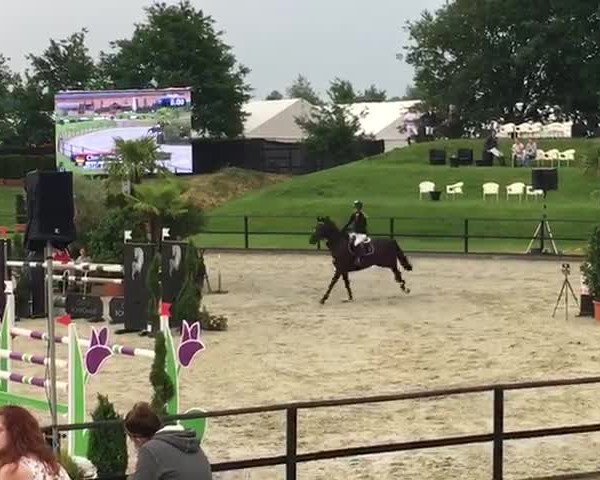 Reitturnier Werder (Bonhomme) 2017