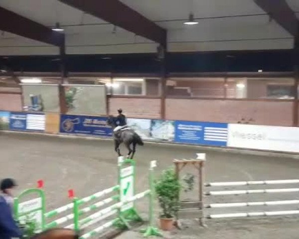 Reitturnier Hamburg-Friedrichshulde 2018