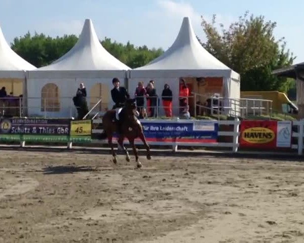 Reitturnier Unna-Massen 2017