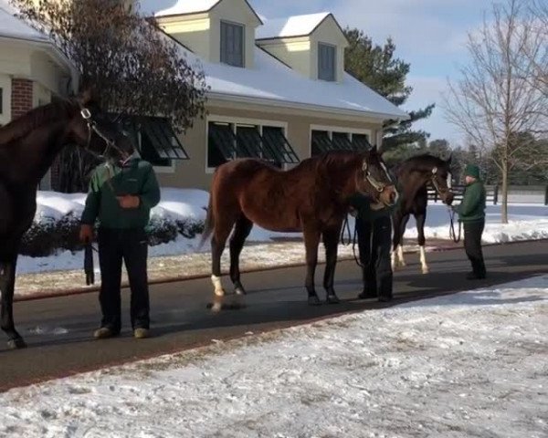 Video of Mineshaft xx