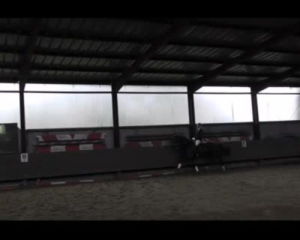 Video of The Black Prince