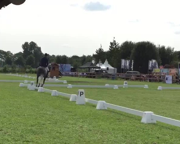 Video of Adorator