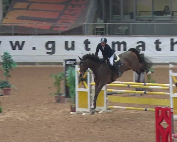 Video of Kelgerbaux