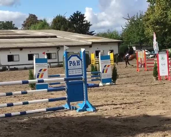 Video von Altaiir