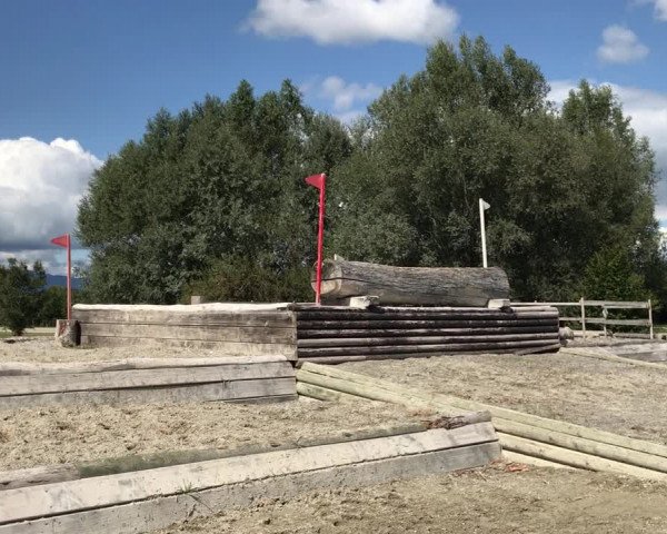 Video of Danilo de Luxe CH