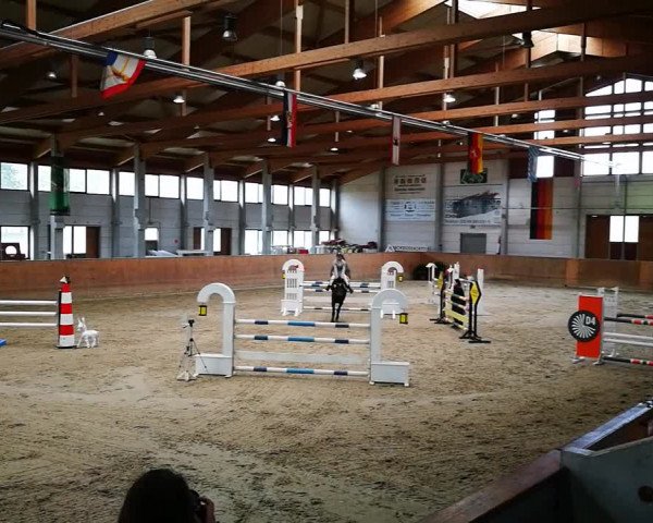Video of Alesandro