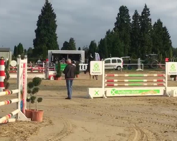 Reitturnier Soest-Ostönnen 2017