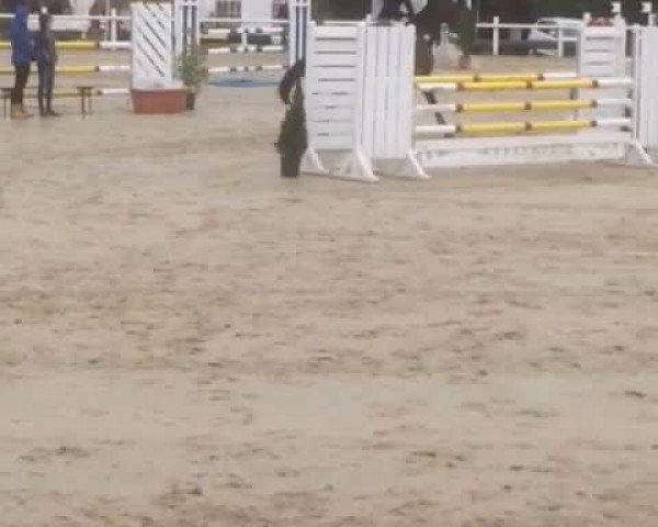 Reitturnier Beckum-Unterberg 2017