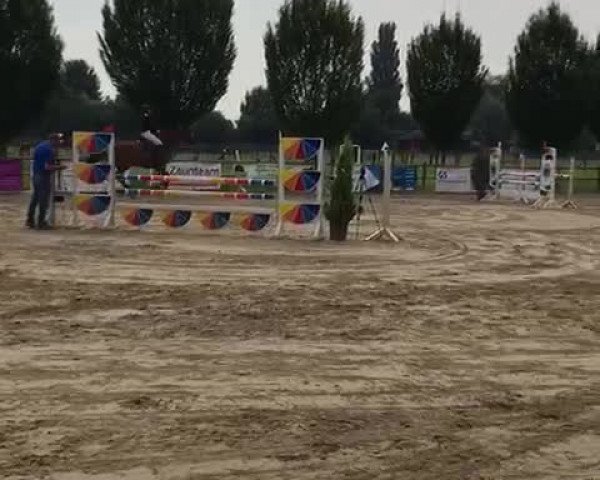 Video von Archie 30