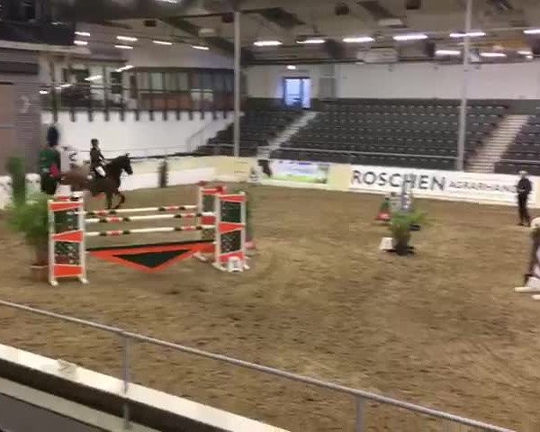 Reitturnier Verden 2017