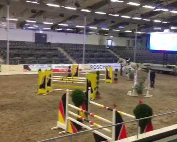 Reitturnier Verden 2017