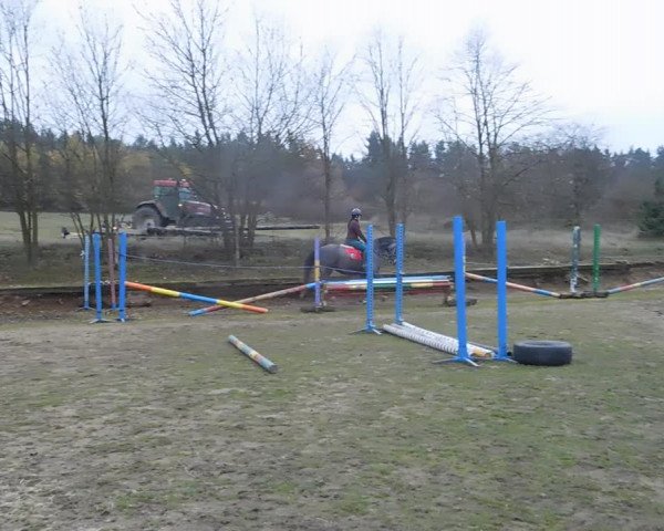 Video of Carmen SL