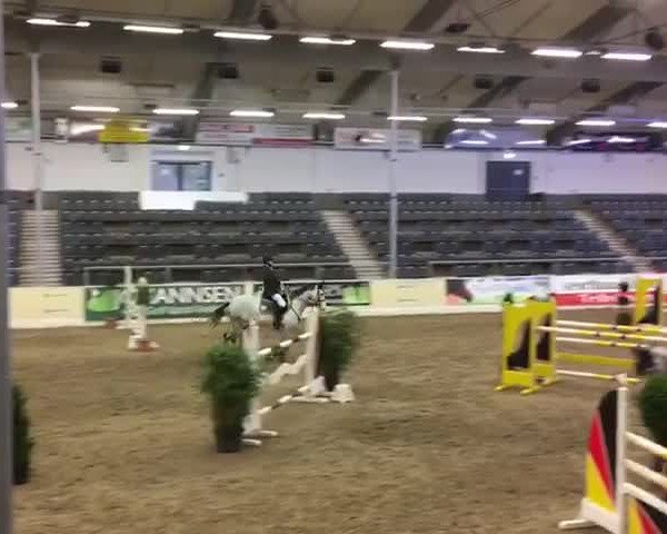 Reitturnier Verden 2017