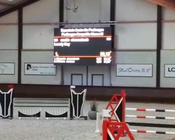 Video von Loveley Guy