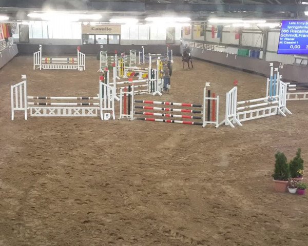 Reitturnier Bochum-Nord 2017