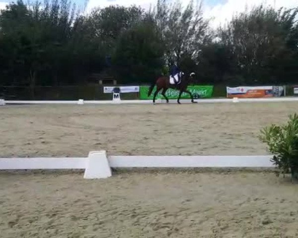 Video of Fürstin Faible