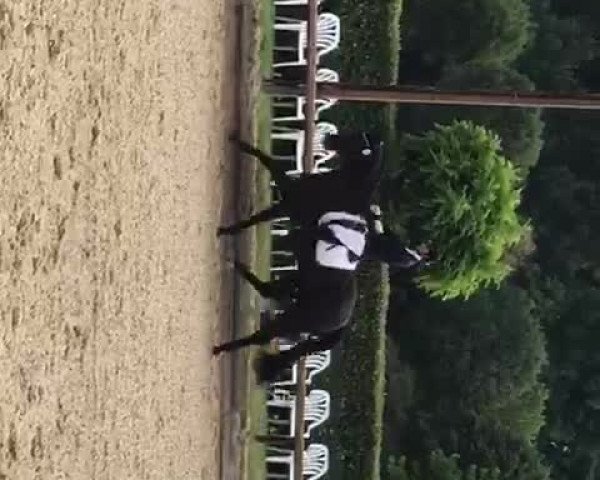 Video of Dresscode 8