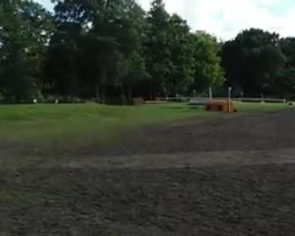 Video of Mr.T. 4