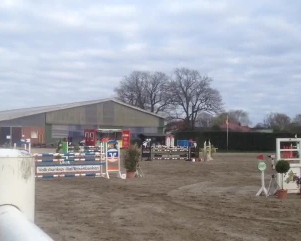Video of Cuthbert B