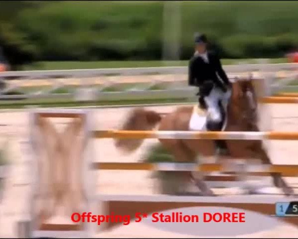 Video of Itsi Pitsi Doree Van' T Kathof