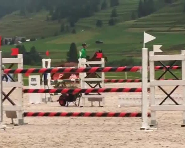 Video of Lucky Lasse
