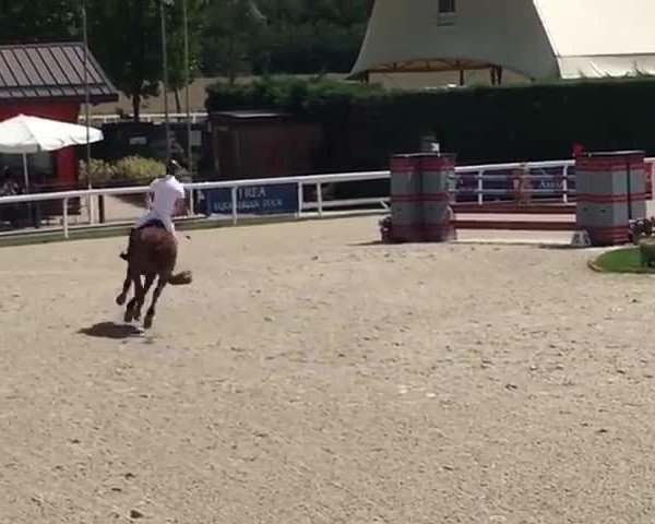 Video of Lucky Lasse