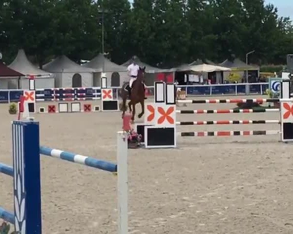 Video of Lucky Lasse