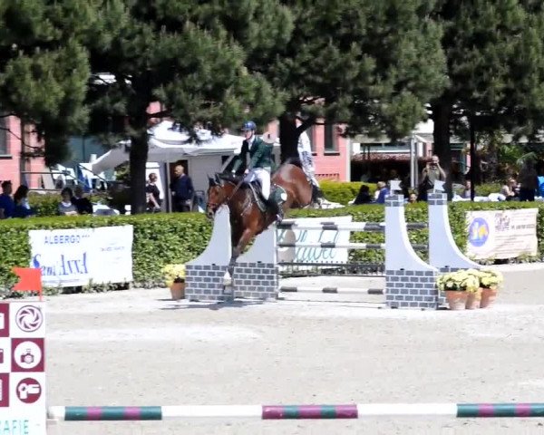 Video of Impuls de La Vie