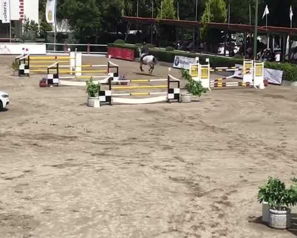 Video of Carquilot