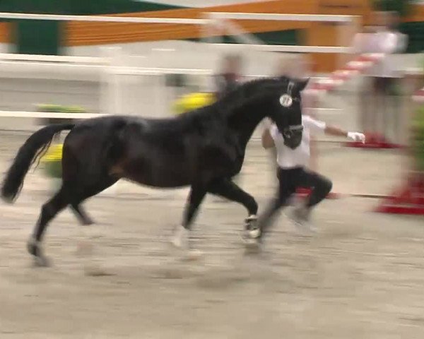 Video of Under and Over