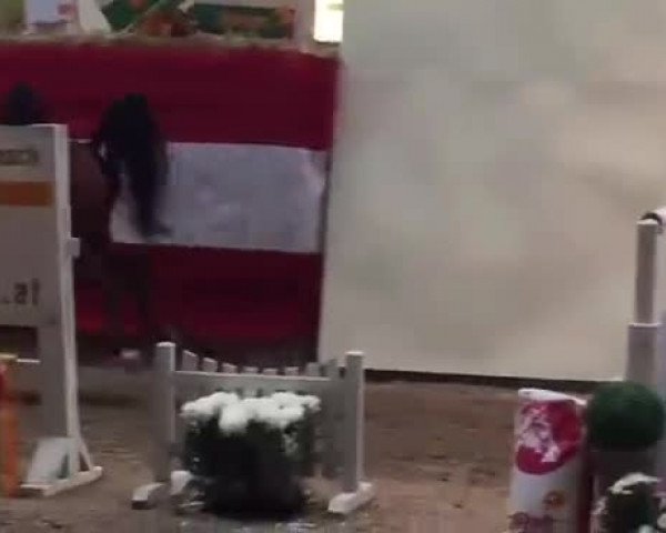 Video von Alejandro