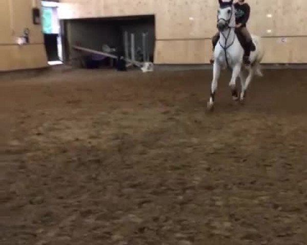 Video of Ragtime L