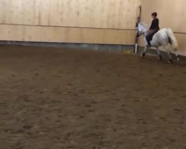 Video of Ragtime L