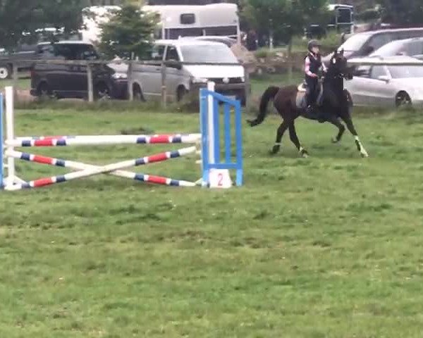 Video von Diabolo B 2
