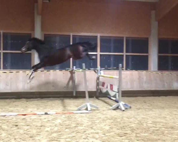 Video of Cajana 6