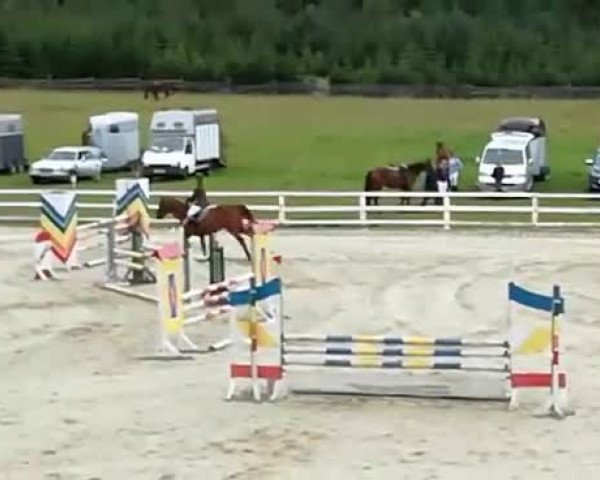Video di Galliano
