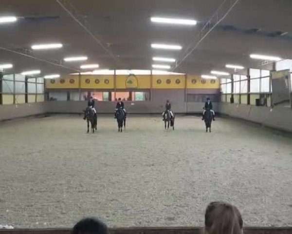 Video of Why Not T