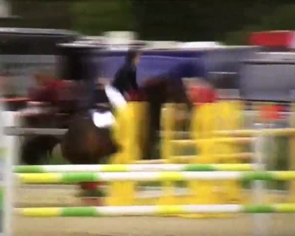 Reitturnier Detter 2017