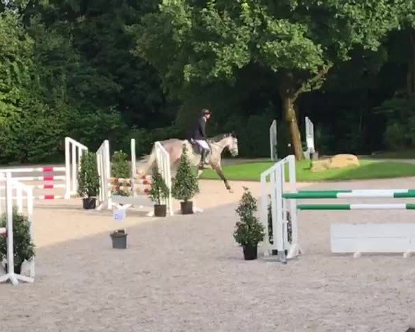 Video of Loui Lou
