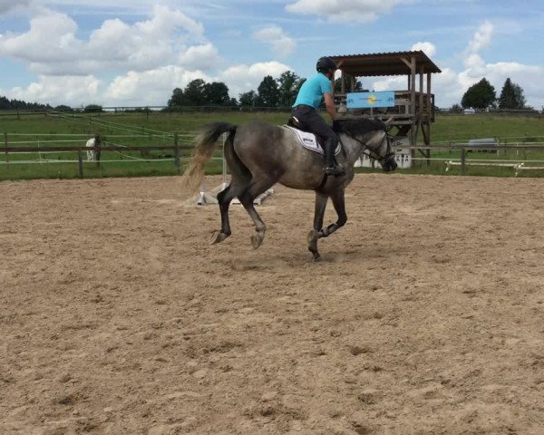 Video of Loui Lou