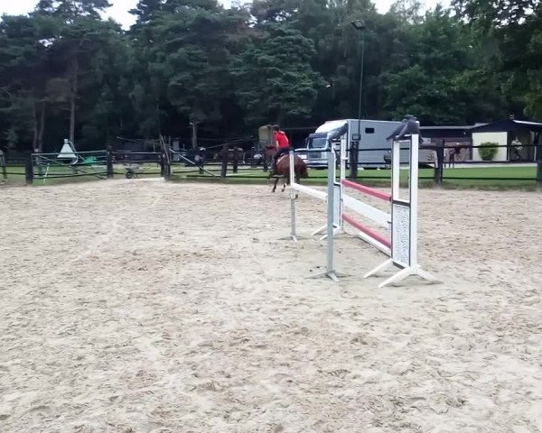 Video of Nobilis B