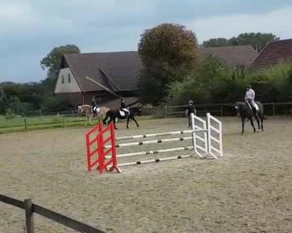 Video of Chery 14