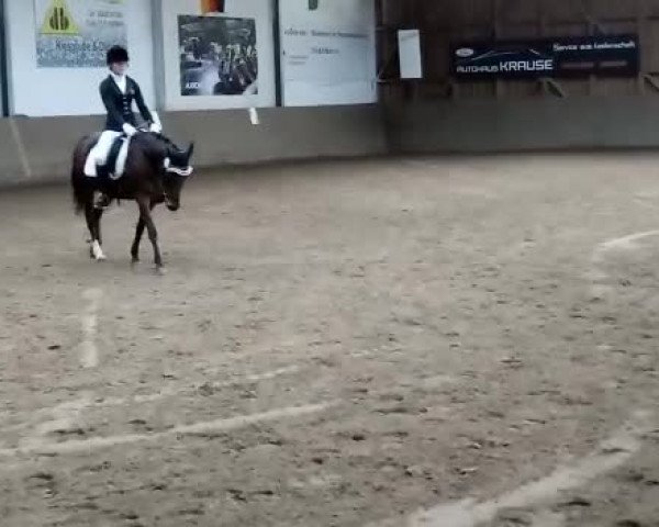 Video of Zitnas Silver Bell