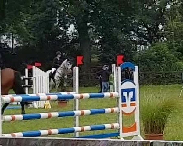 Video von Bellarina K
