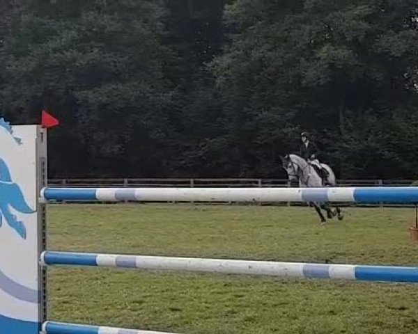 Video von Bellarina K