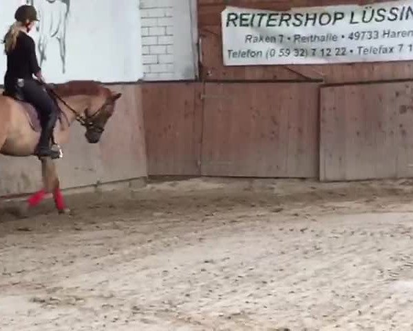 Video of Dragonball