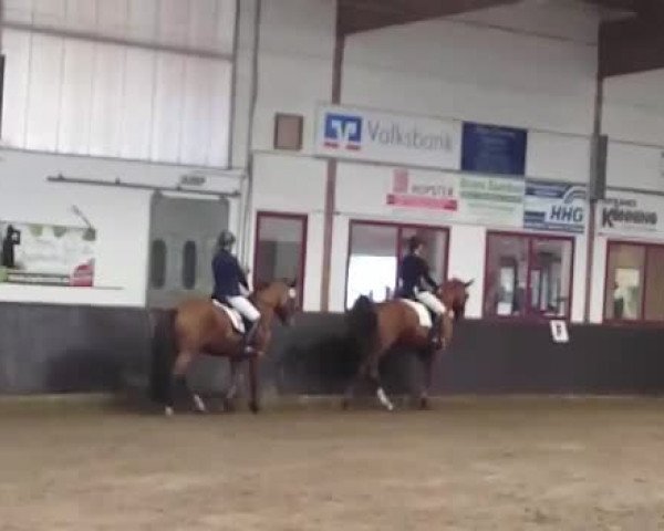 Reitturnier Fürstenau 2017