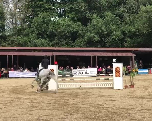 Video of Fleur Blanche d'Amour H
